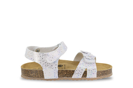 Balocchi Bio Ghiaccio