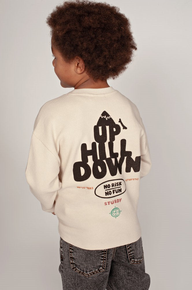 Sturdy Longsleeve mit Rückendruck Oversized Mountain Top Offwhite 71600656
