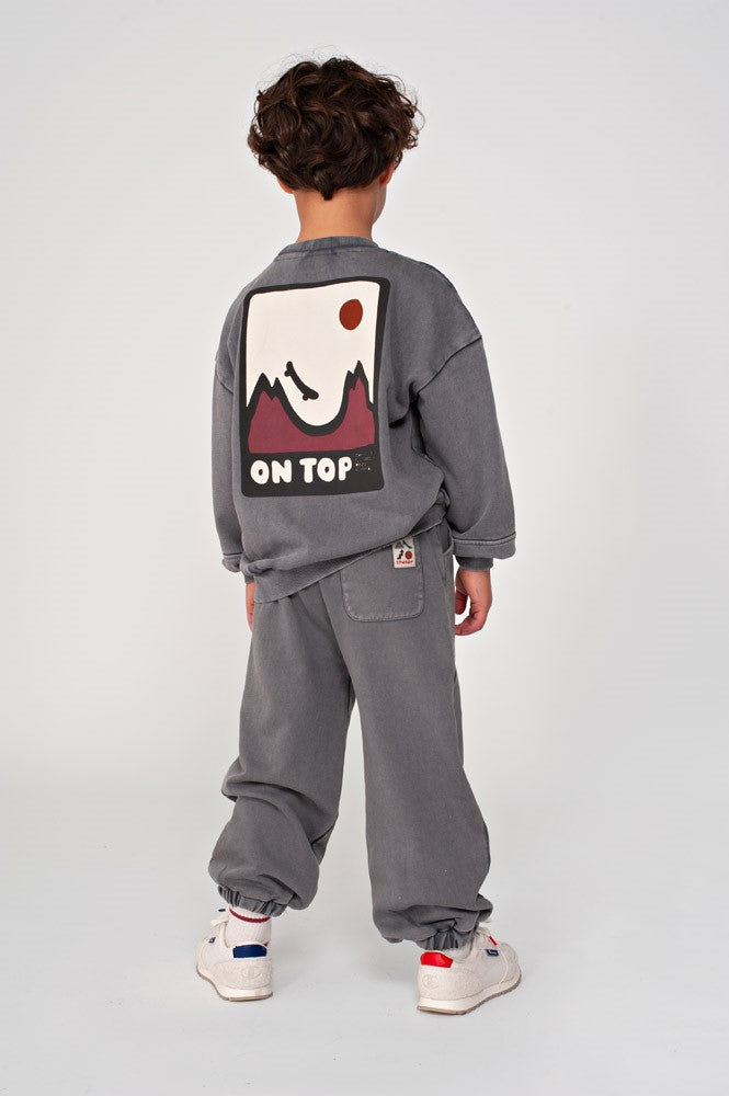 Sturdy Hose Loose Fit Mountain Top Grau 72200264