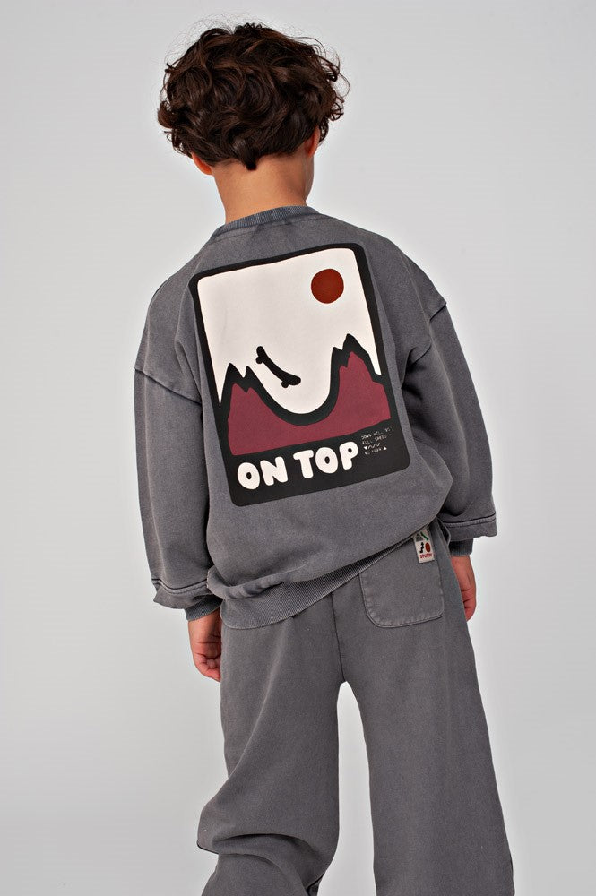 Sturdy Sweater mit Rückendruck Oversized - Mountain Top Grau 71600669