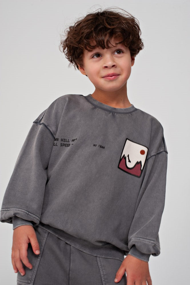 Sturdy Sweater mit Rückendruck Oversized - Mountain Top Grau 71600669