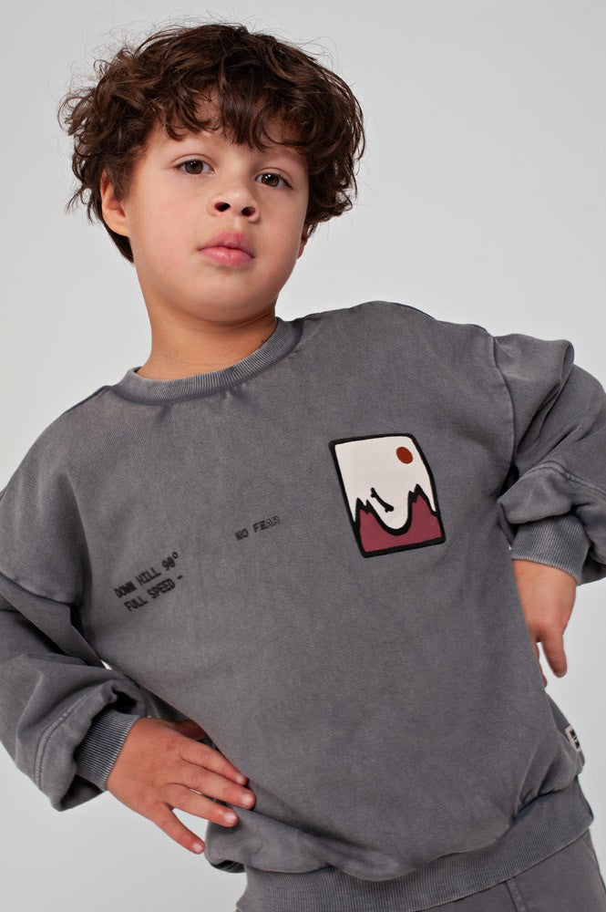 Sturdy Sweater mit Rückendruck Oversized - Mountain Top Grau 71600669