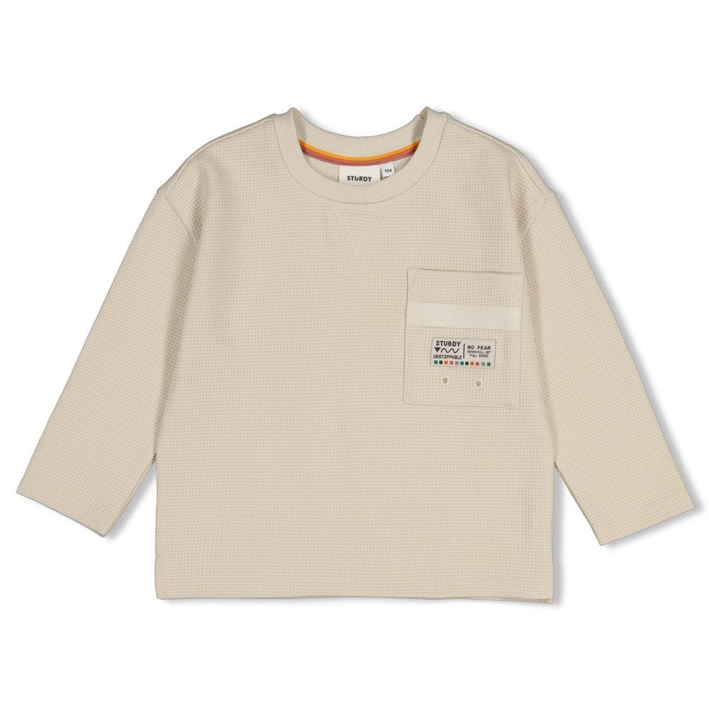 Sturdy Longsleeve mit Rückendruck Oversized Mountain Top Offwhite 71600656