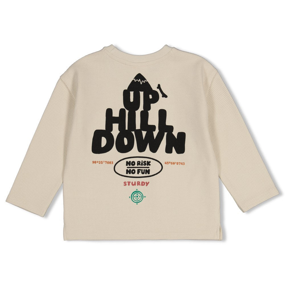 Sturdy Longsleeve mit Rückendruck Oversized Mountain Top Offwhite 71600656