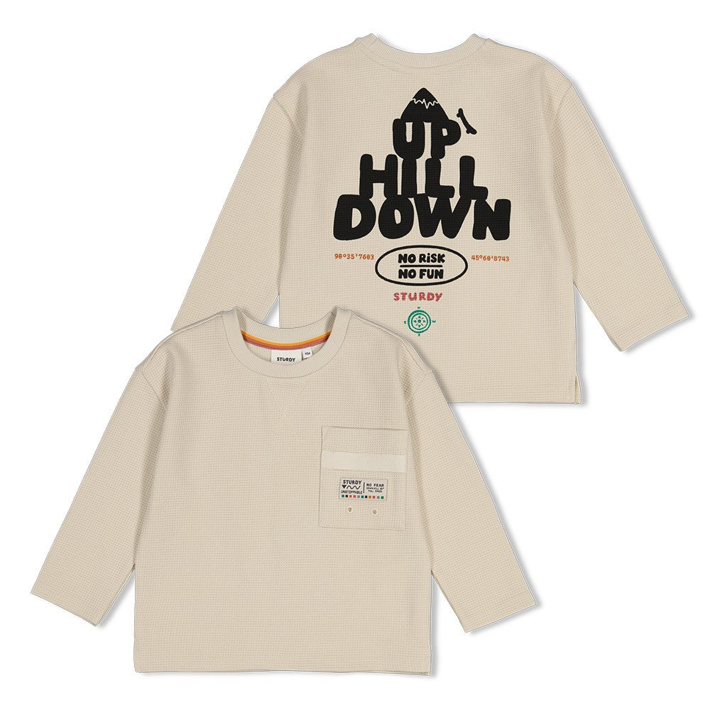 Sturdy Longsleeve mit Rückendruck Oversized Mountain Top Offwhite 71600656