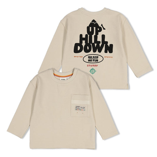 Sturdy Longsleeve mit Rückendruck Oversized Mountain Top Offwhite 71600656
