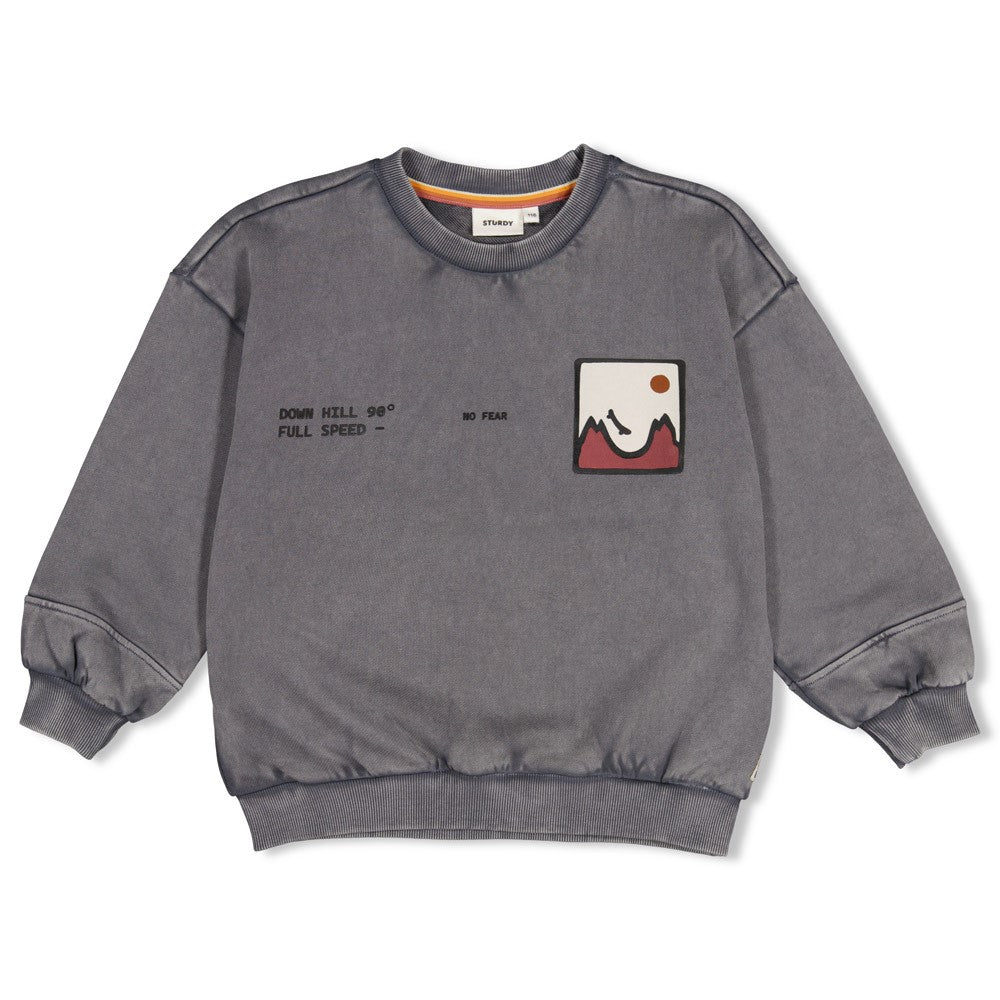 Sturdy Sweater mit Rückendruck Oversized - Mountain Top Grau 71600669