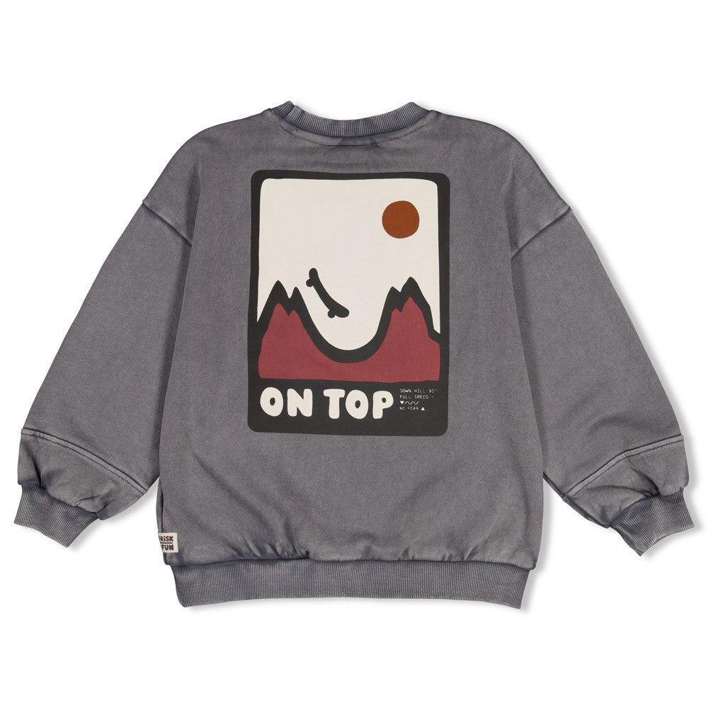 Sturdy Sweater mit Rückendruck Oversized - Mountain Top Grau 71600669