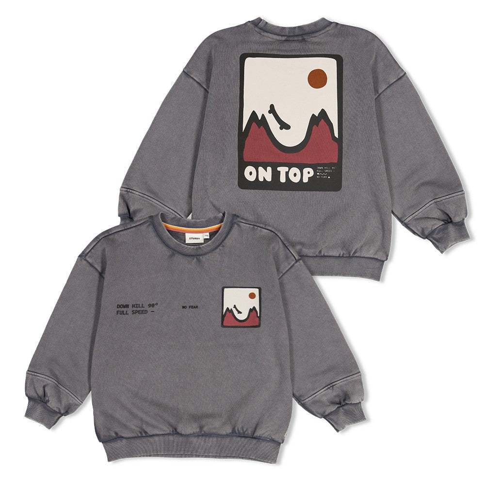 Sturdy Sweater mit Rückendruck Oversized - Mountain Top Grau 71600669
