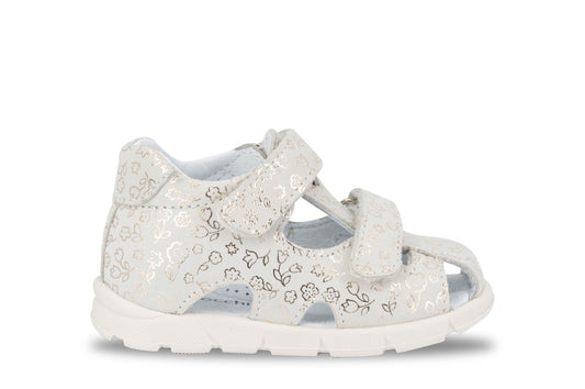 Balocchi Over Champagne