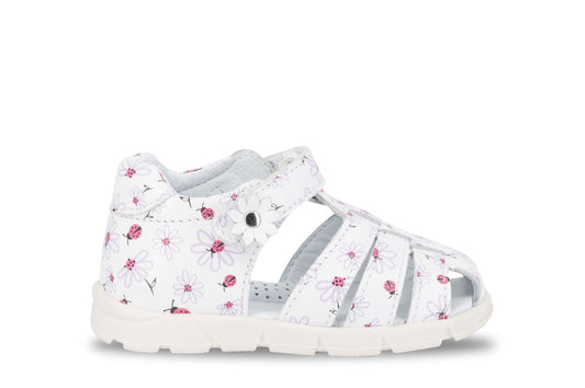 Balocchi Over Flowers