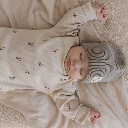 Cosy Roots Organic Rib Sweatshirt - Tiny Olives